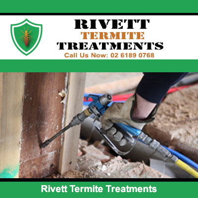 Technician applying termite treatments to wooden structure using professional equipment in Rivett